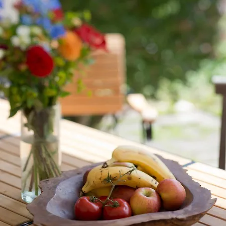 Apartmán Hoyerberg - Besondere Villen-wohnung Mit Garten Und Ausblick Lindau